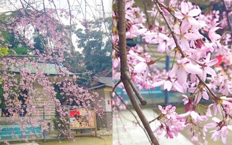 新田神社